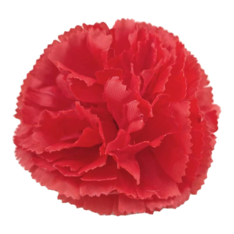 Elegante accesorio Flores Flamenca. Son impresionante, hemos preparado para usted un pack de 6 con colores vibrantes (3 rojas + 3 blancas)