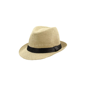 Sombrero Borsalino de Paja de Papel Unisex – Estilo Clásico y Elegante