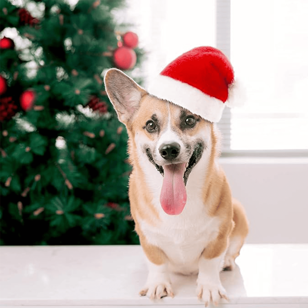 Gorro de Navidad para Mascotas – Suave y Cálido para Perros y Gatos