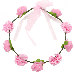 Diadema de Flores