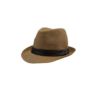 Sombrero Borsalino de Paja de Papel Unisex – Estilo Clásico y Elegante