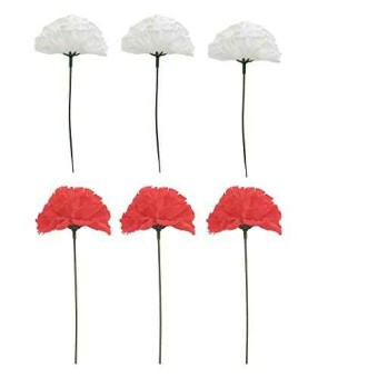 Pack de 6 Claveles de Flamenca y Chulapa