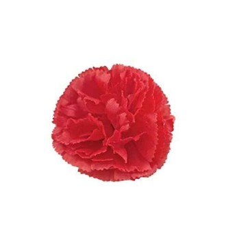 Pack de 6 Claveles de Flamenca y Chulapa